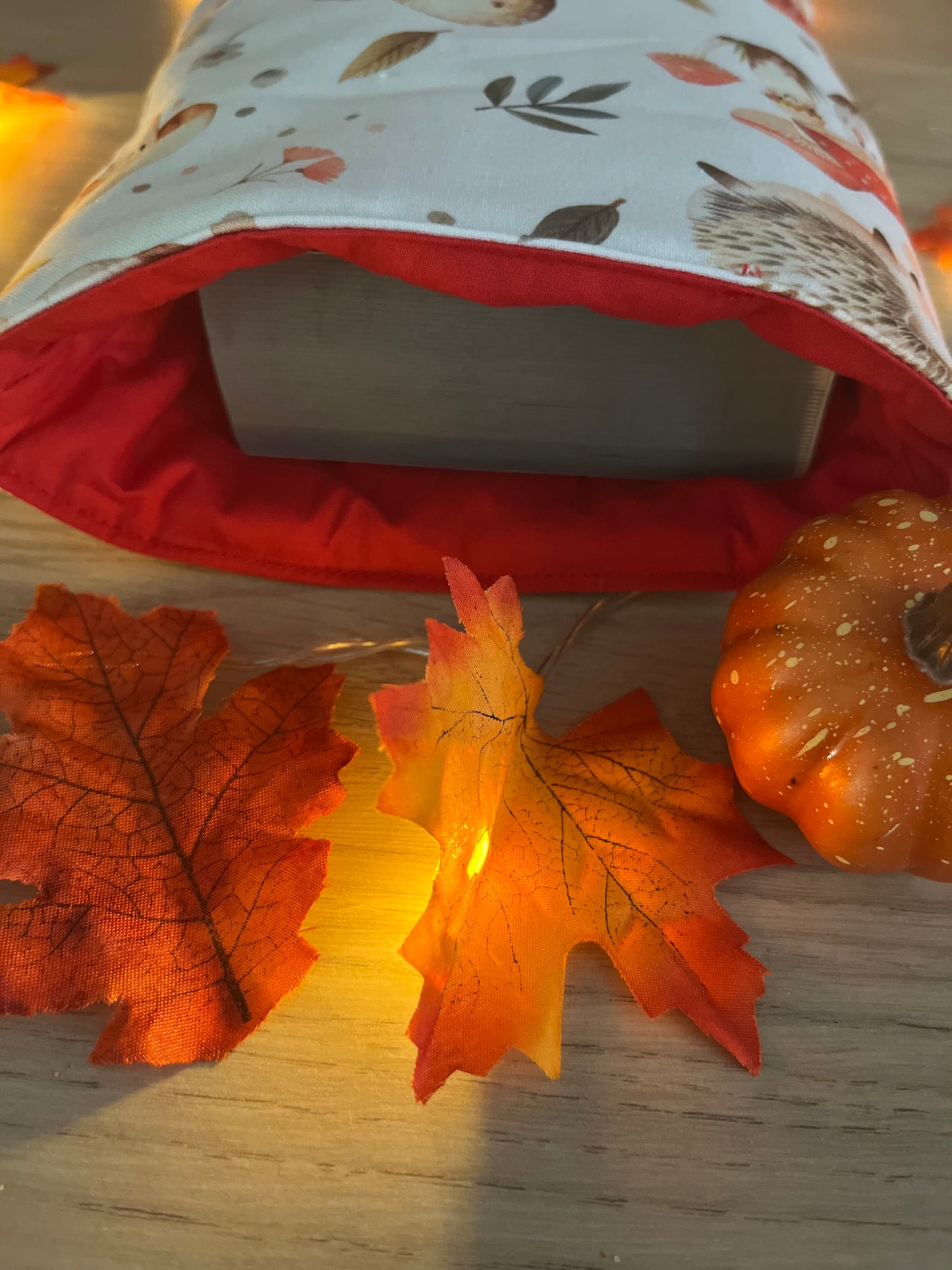 Protège livre poche Ballade au cœur des feuilles